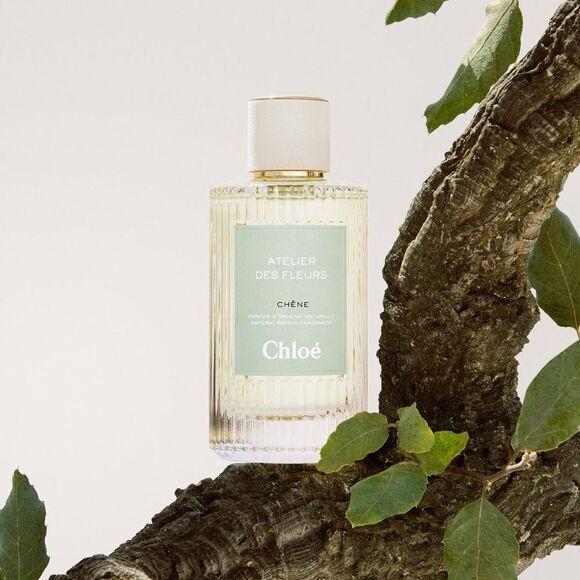 Chloe Atelier Des Fleurs Chene EDP 50ml Set + Hyssop 10ml + Immortelle 10ml - Picture 3 of 3